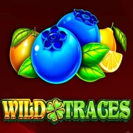 Wild Traces slot visual from Amusnet Interactive available on wazamba-online.com
